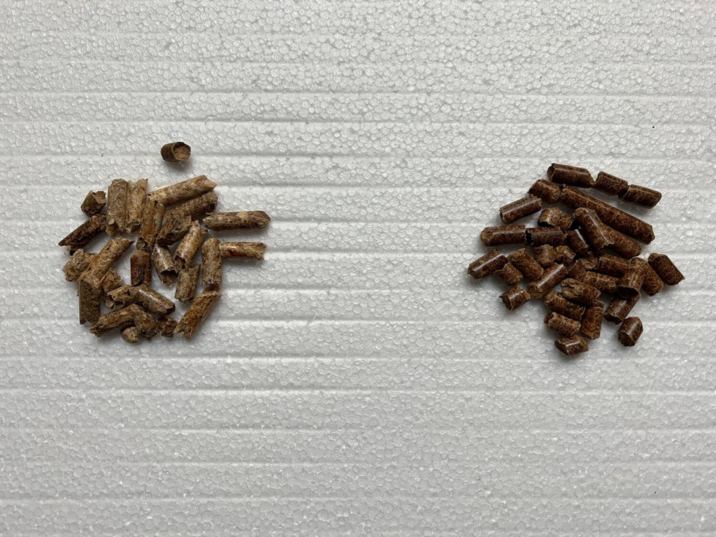 Photograph comparing GMG and Traeger wood pellets. Both are almost  identical in density and size. 